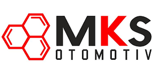 MKS